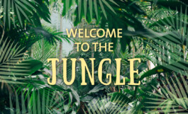 adconcept werbeagentur GmbH – Werbeagentur Hannover